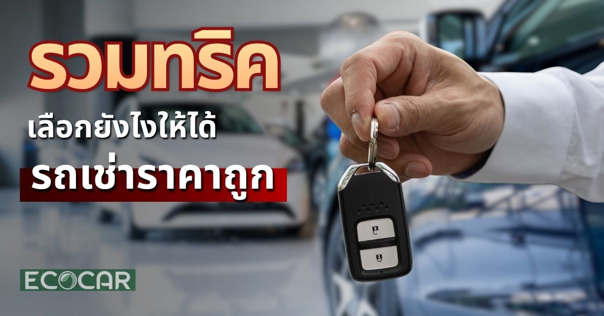 เลือกรถเช่าราคาถูก